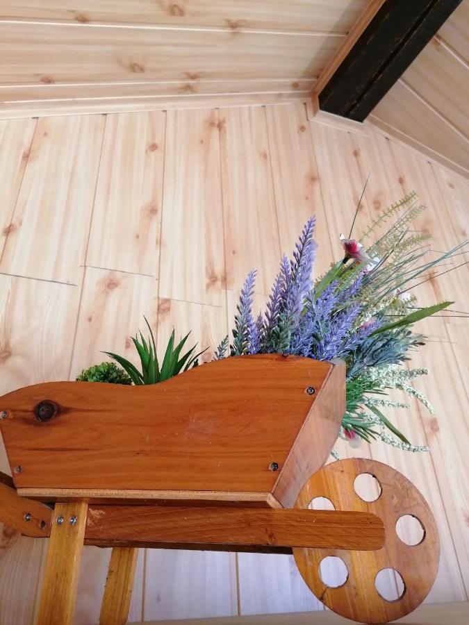Cozy Attic Studio Braşov Exterior foto